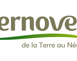 Ternoveo