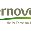 Ternoveo