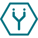 YNSECT