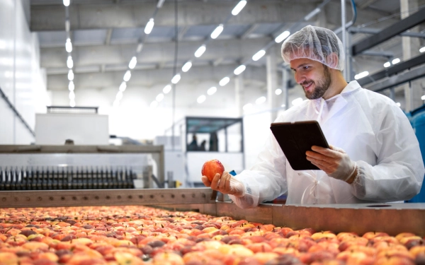 Recruitment in the agri-food sector : how to manage your budget effectively in 2026?