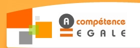 Social networks and recruitment : Alphéa Conseil recruitment agency makes a commitment
