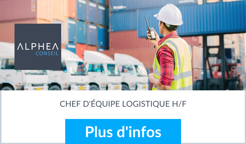 store logistics team leader