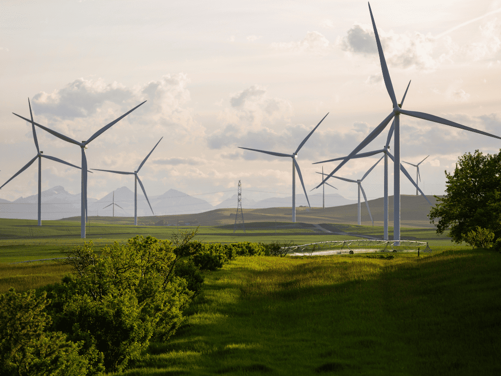 Un vaste paysage verdoyant où de nombreuses éoliennes se dressent face à des montagnes lointaines sous un ciel voilé.