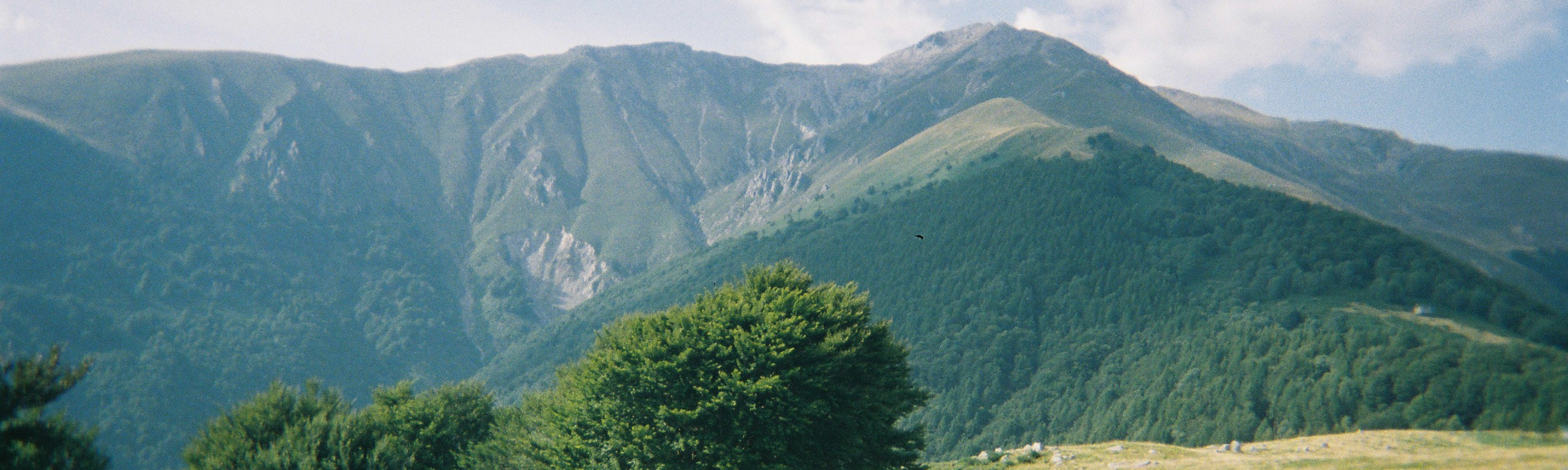 Cabinet de recrutement Alphéa Conseil Albertville