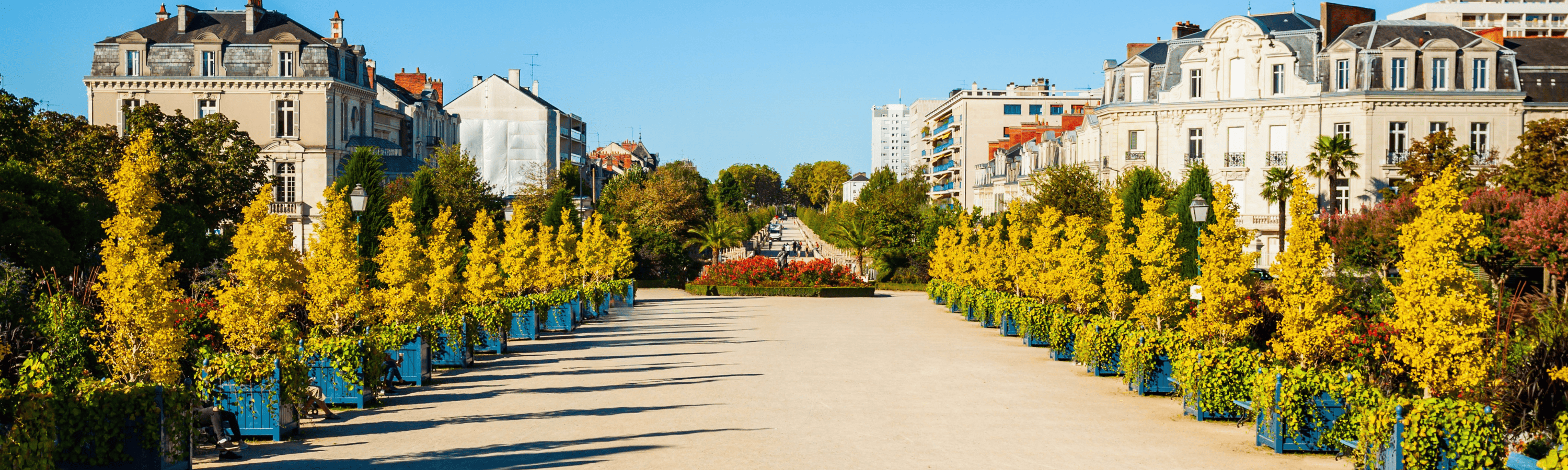 Cabinet de recrutement Alphéa Conseil à Angers
