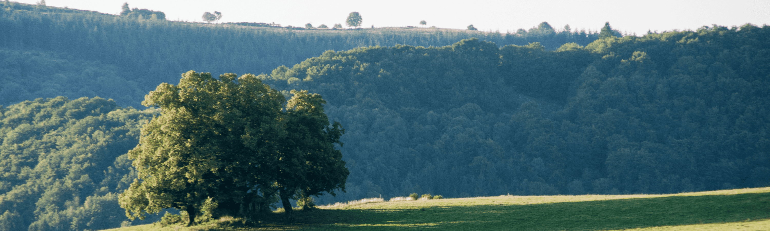 Cabinet de recrutement à Aurillac