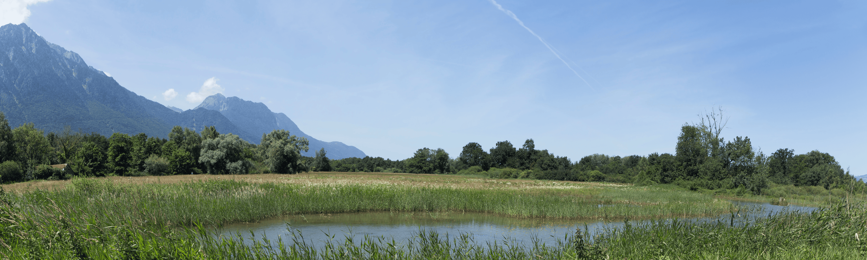 Recruitment agency Chablais