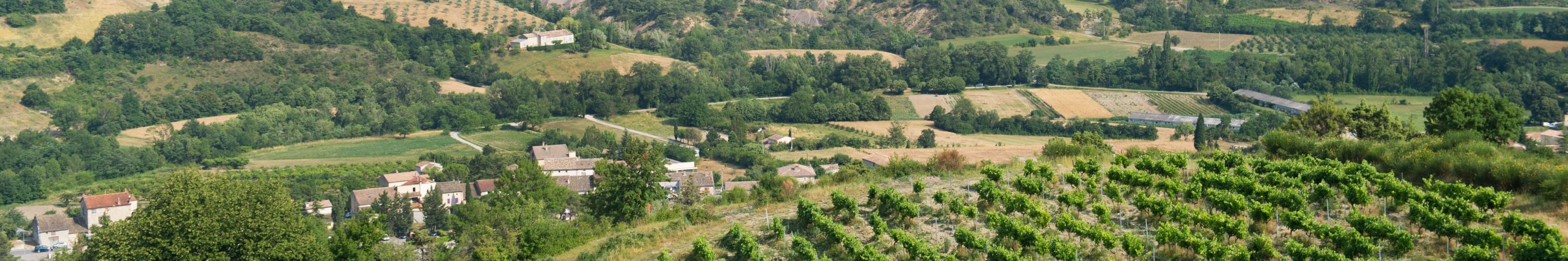 Recruter le bon collaborateur à Montélimar