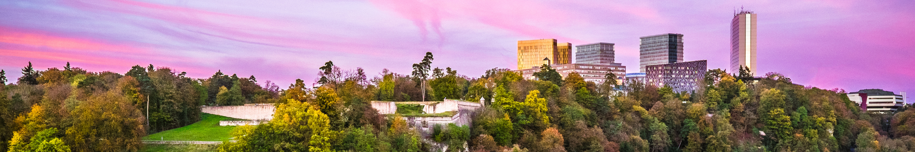 Cabinet de recrutement Luxembourg