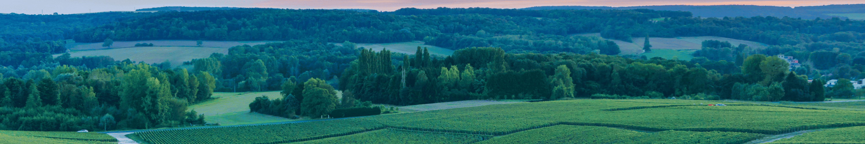 Cabinet de recrutement Reims