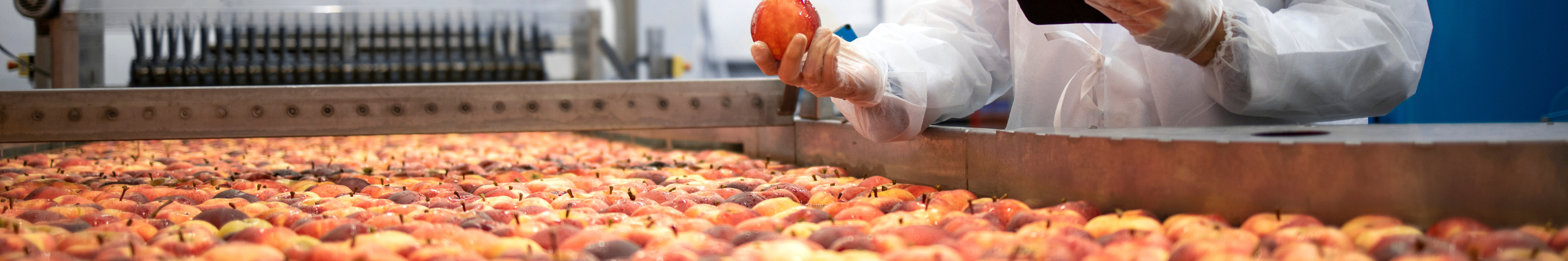Agri-food recruitment agency