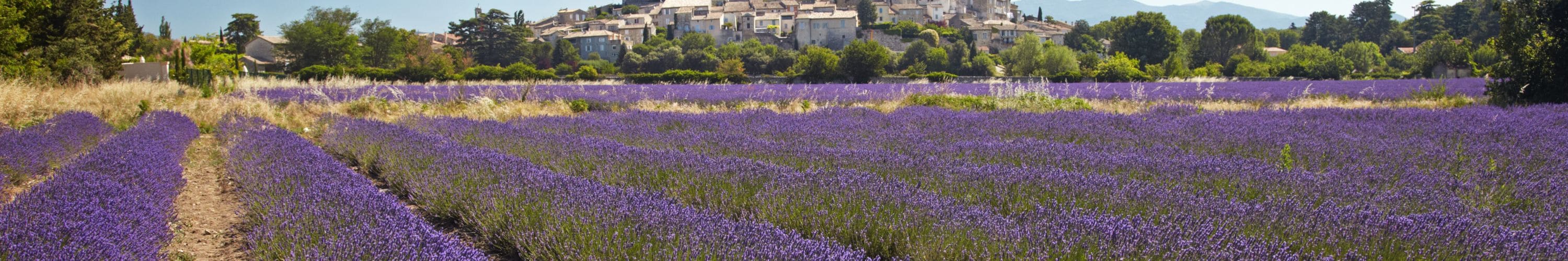 Cabinet de recrutement Pierrelatte